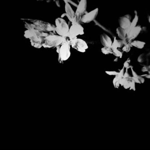 St Tropez Party Girl