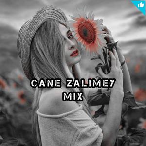 Taladro & Cane Zalımey Mix