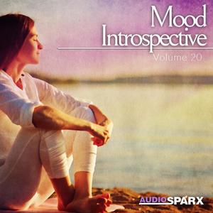 Mood Introspective Volume 20