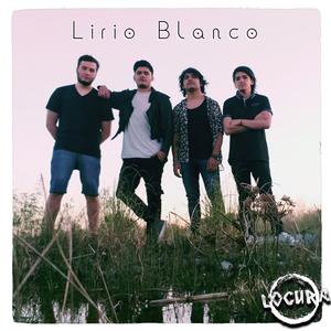 Lirio Blanco