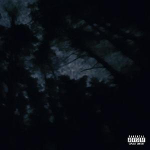 Fake It (Explicit)