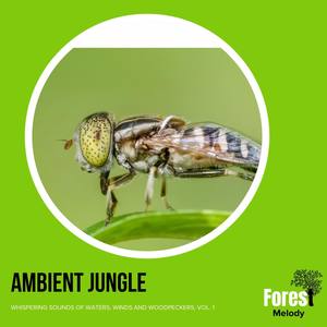Ambient Jungle - Whispering Sounds of Waters, Winds and Woodpeckers, Vol. 1