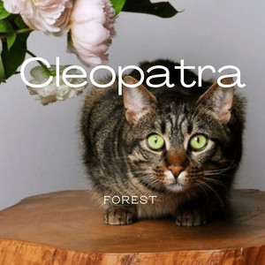 Cleopatra