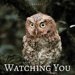 Watching You (Radio Edit)