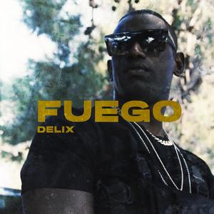 FUEGO (Explicit)