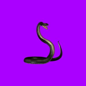 Power (feat. vercetti) (Explicit)