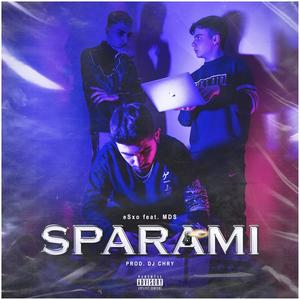 Sparami (feat. MDS-13 & Dj Chry) [Explicit]