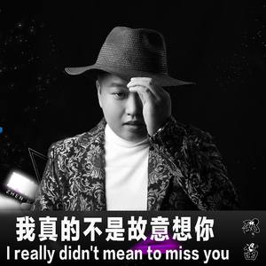 我不是故意想你 (伴奏)