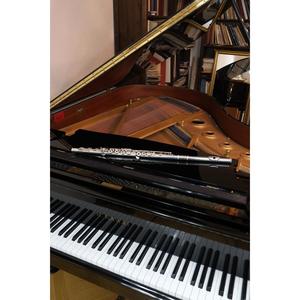 Not a Sonata!-Merci Monsieur P. (2008, rev. 2023)