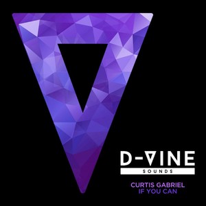 If You Can (Original Mix)