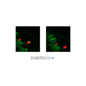 EMBER0016