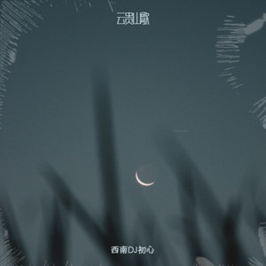 我拿青春陪你赌 (初心 remix)