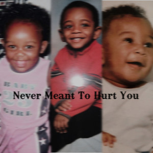 Never Meant to Hurt You (Explicit)