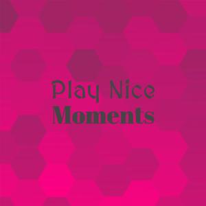 Play Nice Moments