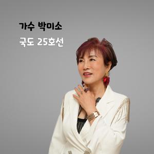 국도 25호선