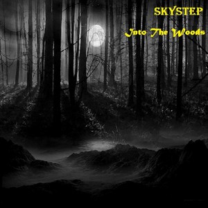 Into The Woods (Original Mix)