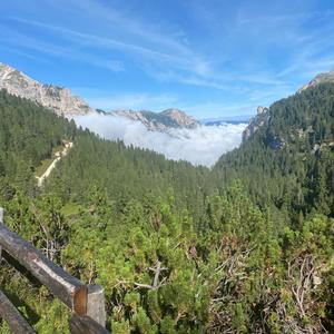 Organic (feat. LBOY)