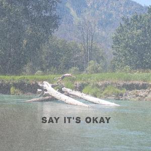 Say It's Okay