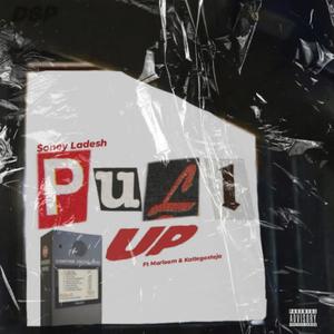 Pull Up (feat. Katlego Steja & Marloom) (Explicit)
