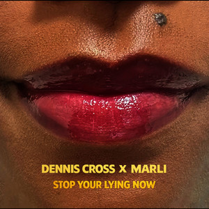 Stop Your Lying Now (Remix)