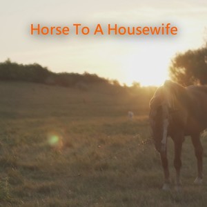 Horse To A Housewife (feat. Benjamin Proton) [Explicit]