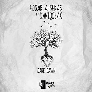 Dark Dawn(feat. DavidoSax)