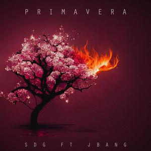 Primavera (feat. JBang) (Explicit)