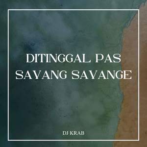 DJ Ditinggal Pas Sayang Sayange Thailand Style -inst