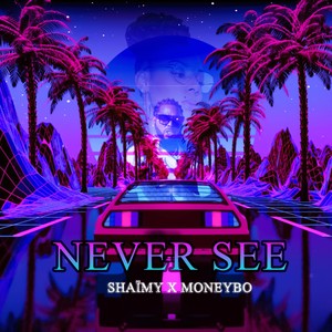 Never See (feat. MoneyBO)