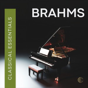Brahms: Variations on a Theme by Haydn, Op. 56a - Var. 4, Andante con moto