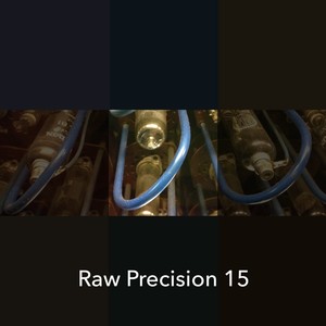 Raw Precision 15