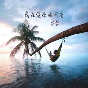 我在没你的河南