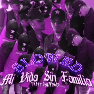 Mi Vida Sin Familia (Slowed)