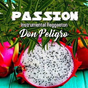 Passion Instrumental Reggaeton