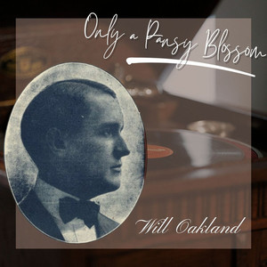 Only a Pansy Blossom