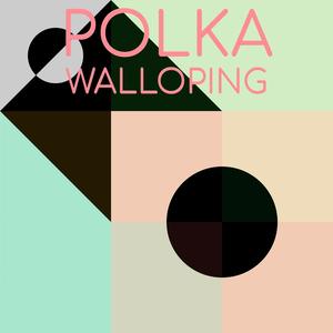 Polka Walloping