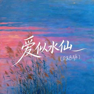 爱似水仙 (R&B版)封面