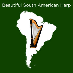 Beautiful South American Harp