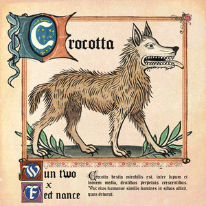 crocotta