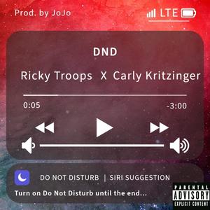 DND (feat. Carly Kritzinger)