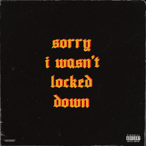 Sorry I Wasn't Locked Down (Explicit)