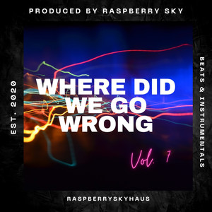 Where Did We Go Wrong (Inst.)