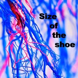 Size of the shoe (Explicit)