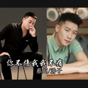 你不伤我我不痛