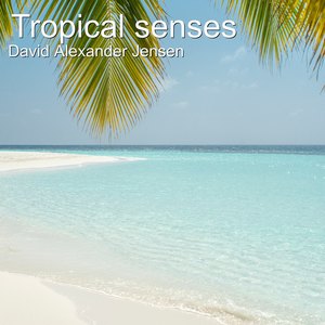 Tropical Senses