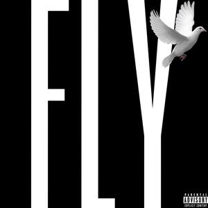 FLY