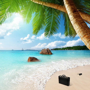 California (A Dream Come True)