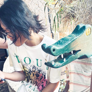 alligator (Explicit)