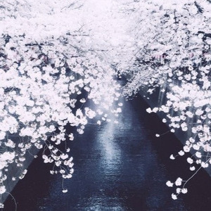 Beautiful Mirage (prod. Fantasy Camp)