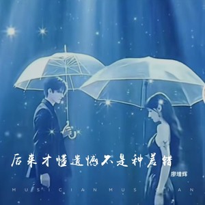 后来才懂遗憾不是种差错